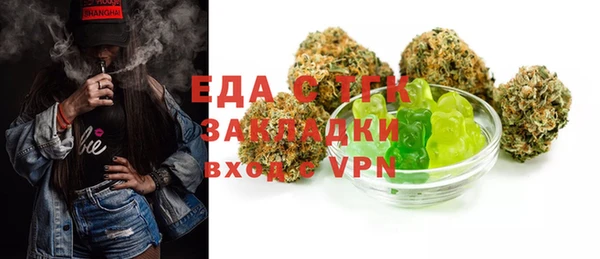 индика Михайлов