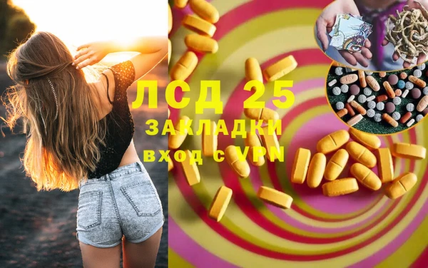 индика Михайлов