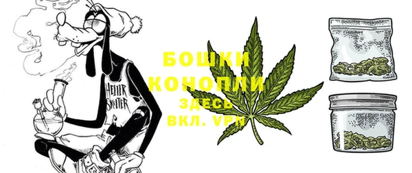 индика Михайлов